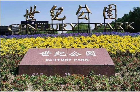 ZHSU项目-上海世纪公园